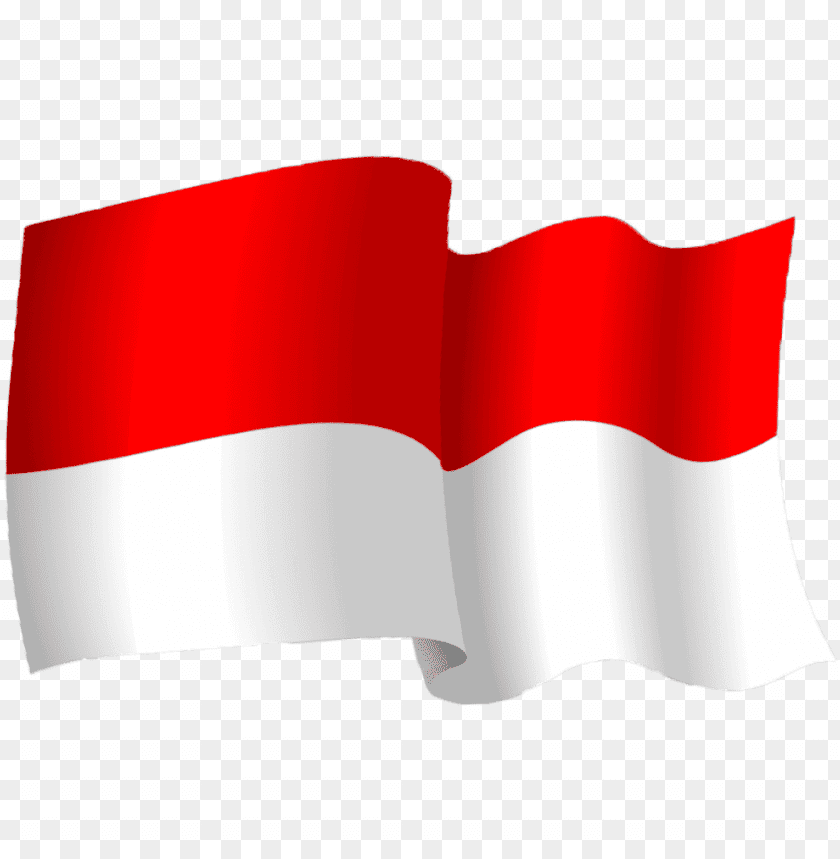 Indonesia Language